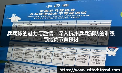 乒乓球的魅力与激情：深入杭州乒乓球队的训练与比赛节奏探讨
