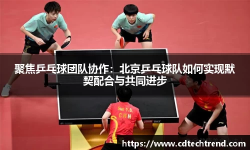 聚焦乒乓球团队协作：北京乒乓球队如何实现默契配合与共同进步