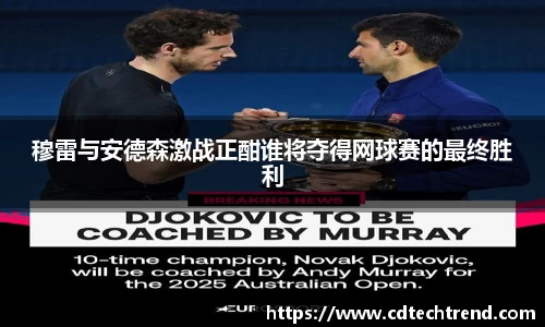 穆雷与安德森激战正酣谁将夺得网球赛的最终胜利
